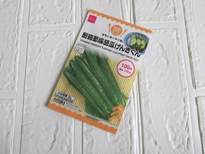 ダイソーで「プチプラ園芸・ガーデニング」をはじめてみよう！