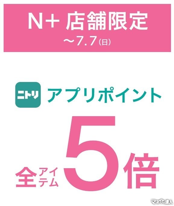 ニトリのアパレルブランド「N+」、ポイント5倍キャンペーン開催