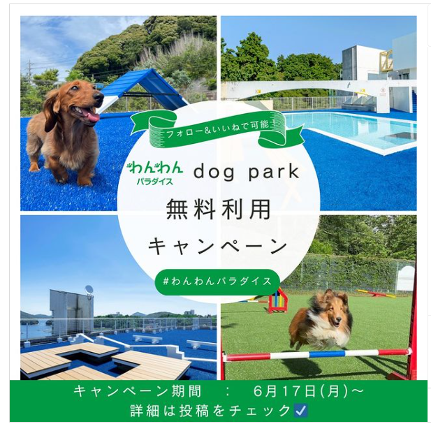 愛犬リゾートホテル「Wan's Resort」「わんわんパラダイス」　ドッグラン日帰り利用無料SNSキャンペーン