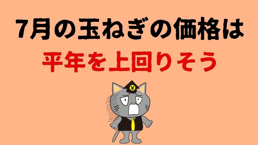 【7月の野菜の価格】レタス・ブロッコリーが安い！　農林水産省より野菜の生育状況及び価格見通し発表