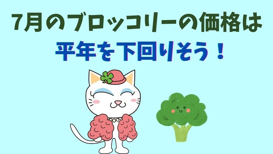 【7月の野菜の価格】レタス・ブロッコリーが安い！　農林水産省より野菜の生育状況及び価格見通し発表