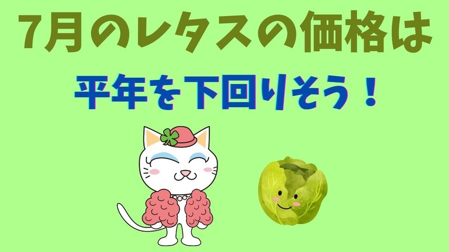 【7月の野菜の価格】レタス・ブロッコリーが安い！　農林水産省より野菜の生育状況及び価格見通し発表