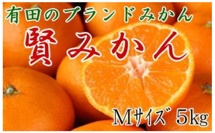 【リピ確定】ふるさと納税の選んでよかった「リピーター多数」の返礼品特集