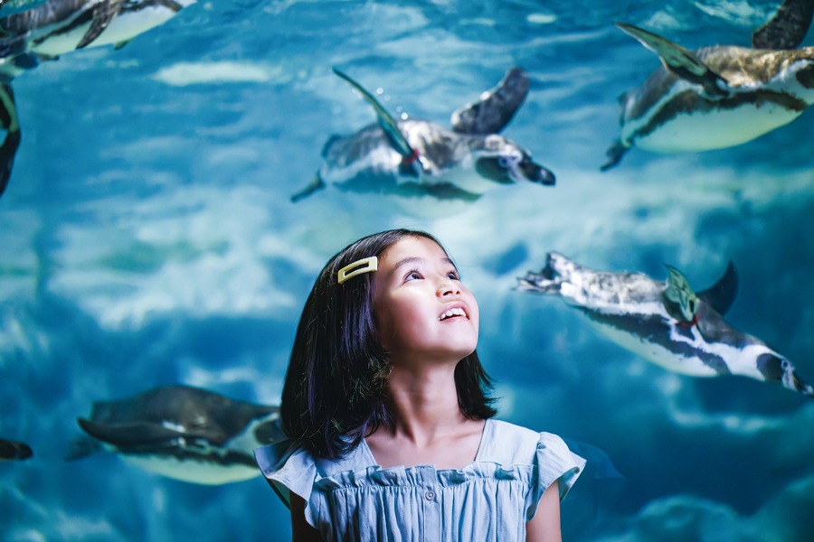 旅行レジャー予約サイトKlook、40℃以上の猛暑日には最大40%OFF　夏の「激アツセール」開催