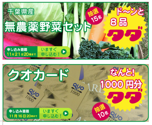 野菜が高い！　それなら、新鮮な野菜がタダでもらえるサイト「タダヤサイドットコム」があるよ