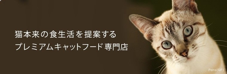 夏の福箱2024発売　プレミアムキャットフード専門店「たまのおねだり」から最大47％オフ