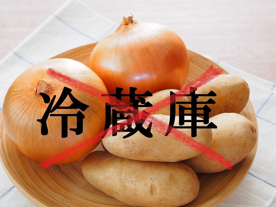 冷蔵庫の節約＆収納テク　冷蔵庫の構造や野菜の特徴を知り賢く使いましょう。