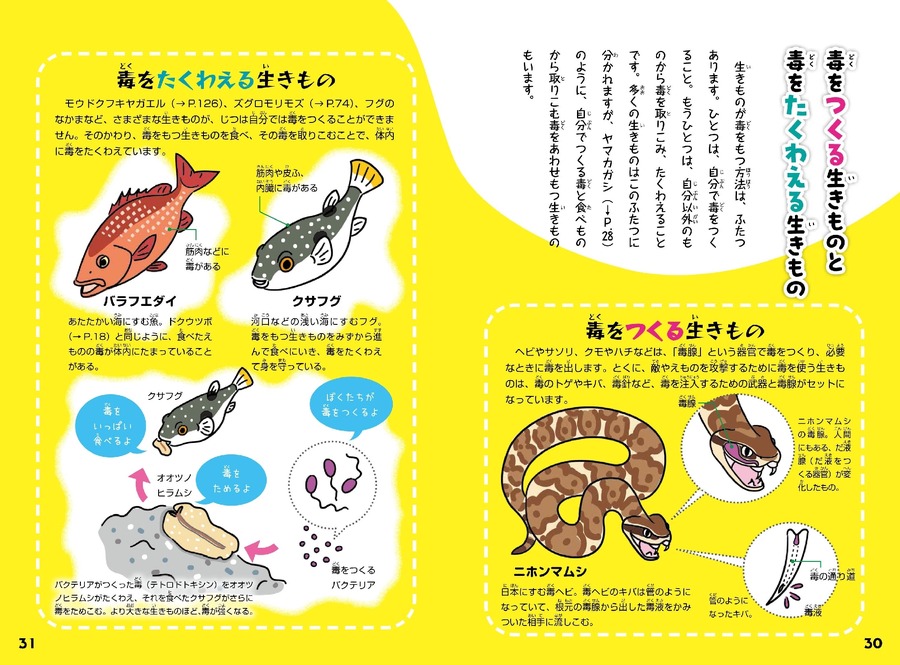 小学生から楽しめる『けなげ!? せつない!? ちょっと意外な毒のある生きもの』新刊発売