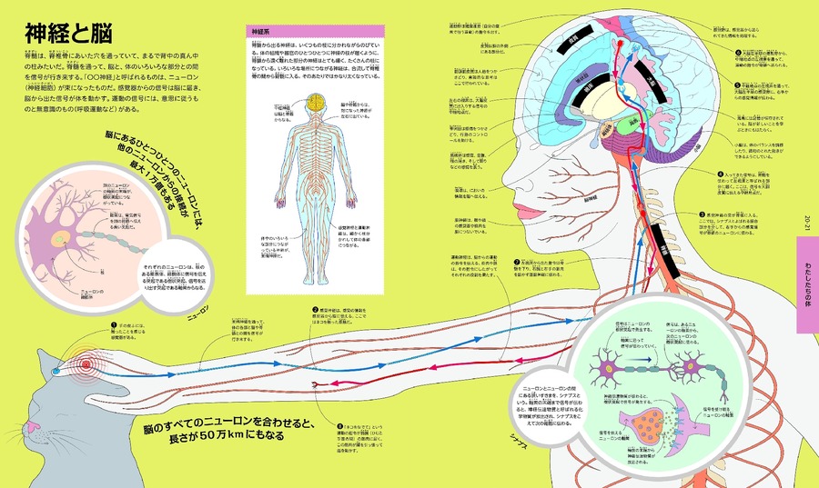 大人も夢中『みのまわりの ありとあらゆるしくみ図解』身近なしくみを解説する新書籍