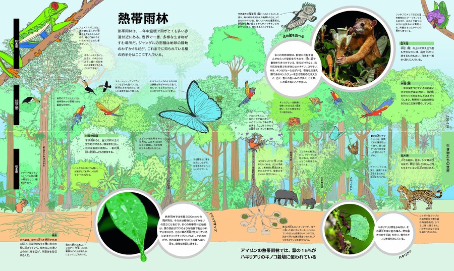 大人も夢中『みのまわりの ありとあらゆるしくみ図解』身近なしくみを解説する新書籍