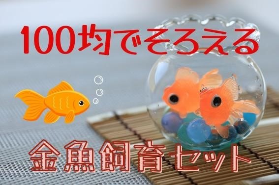 100均の「金魚飼育セット」　お祭りでとった金魚も少ない費用で住みやすく
