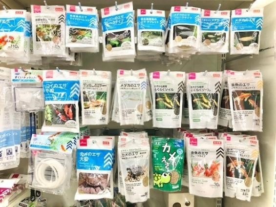 100均の「金魚飼育セット」　お祭りでとった金魚も少ない費用で住みやすく