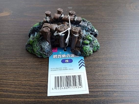 100均の「金魚飼育セット」　お祭りでとった金魚も少ない費用で住みやすく