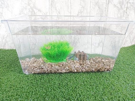 100均の「金魚飼育セット」　お祭りでとった金魚も少ない費用で住みやすく