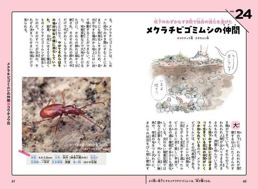 夏休みおススメ（中身チラ見せ）図鑑に載ってない63種の虫たちの生態や独特な姿・形『虫ってやっぱり面白い！ 虫たちの生き方事典』