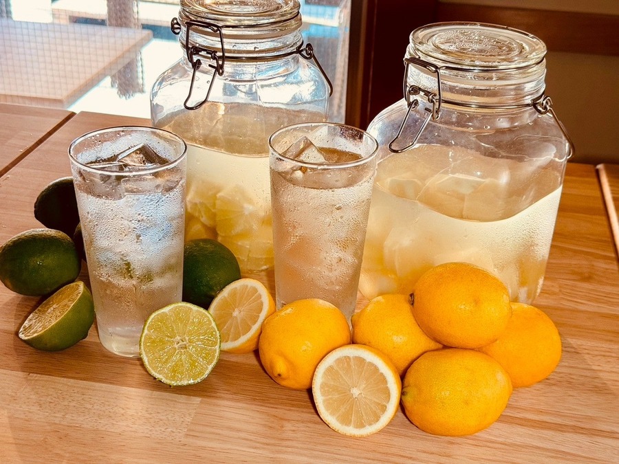 新宿・代々木で昭和へタイムスリップ　ほぼ新宿のれん街［わ］区画「炉端 ひょうたん 双葉荘」オープン