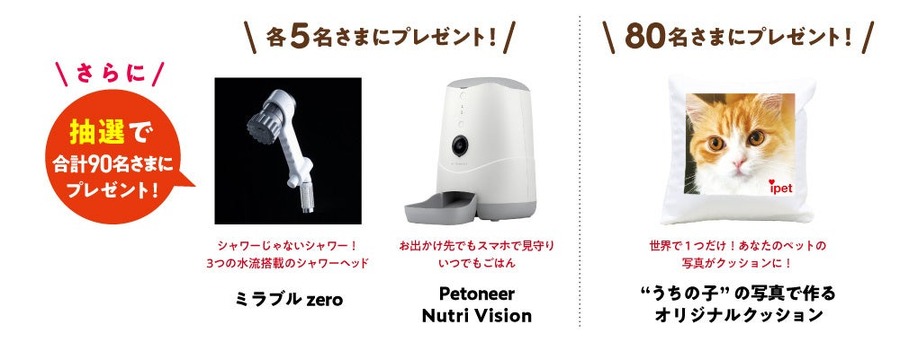 ハーゲンダッツ無料引換券！アイペット損保新規加入で豪華プレゼント（8/1-10/31）