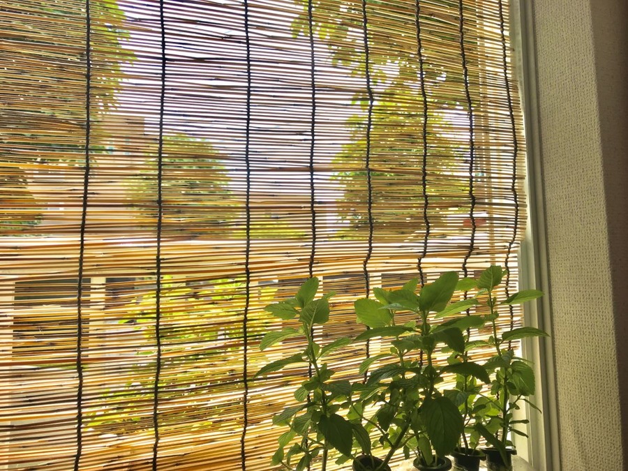 電気料金を節約する裏ワザ特集！夏冬の季節別オススメ節約術を公開