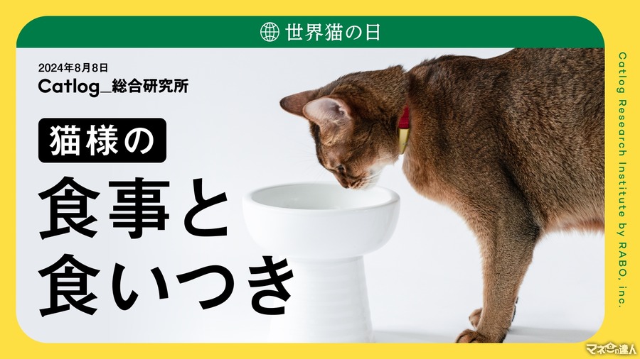 猫サマ、夏は食欲ないのです…「猫様の食事と食いつき」関する調査結果