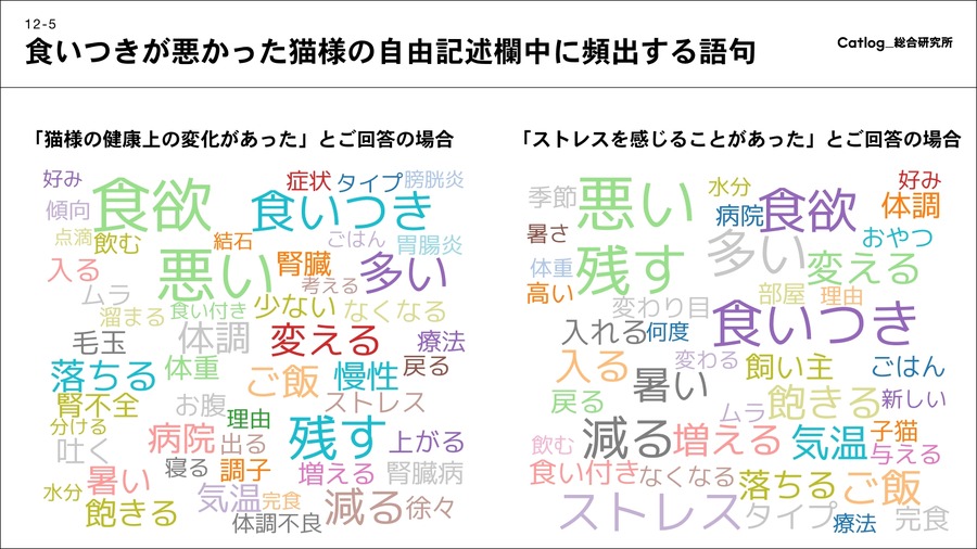 猫サマ、夏は食欲ないのです…「猫様の食事と食いつき」関する調査結果