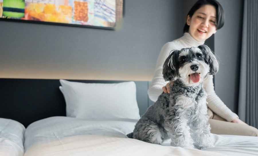 【2024年の旅行トレンド紹介】日本国内のユニークな新規オープン施設を厳選