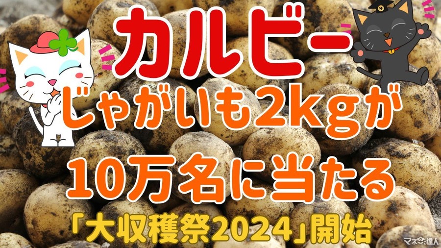 じゃがいも2kgが10万名に当たる！【カルビー大収穫祭】空き袋は捨てないで！応募方法・注目点まとめ