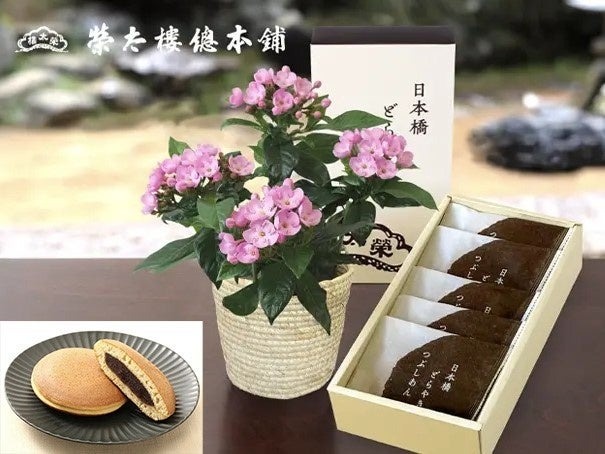 和菓子とセットのお花もありですね！第一園芸「敬老の日」ギフトの予約開始(8/19～）