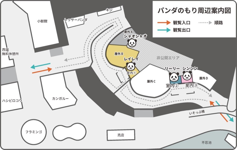 上野動物園「リーリー」「シンシン」中国へ帰国決定　最終日の観覧は事前申込による抽選制