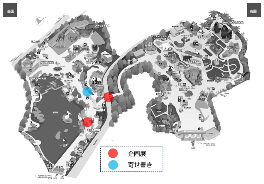 上野動物園「リーリー」「シンシン」中国へ帰国決定　最終日の観覧は事前申込による抽選制