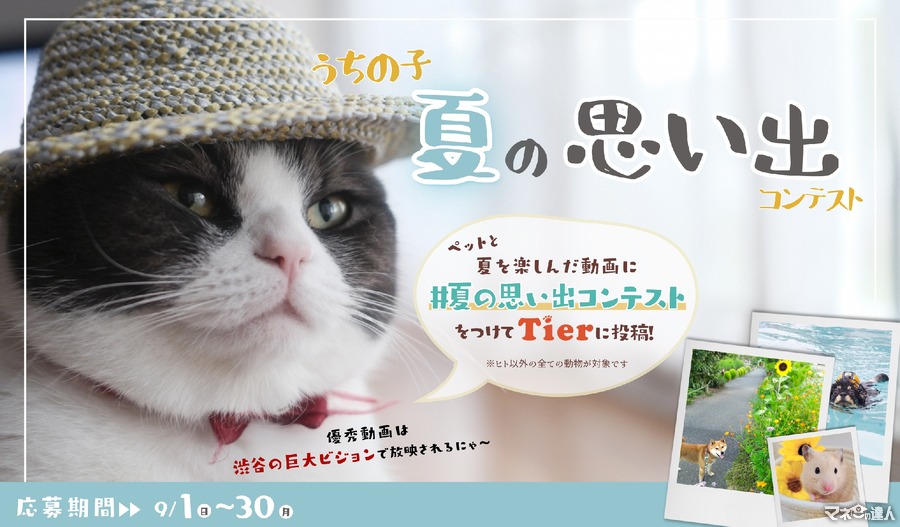 飼ってたら投稿！！「うちの子夏の思い出コンテスト」動物専門SNS『Tier』