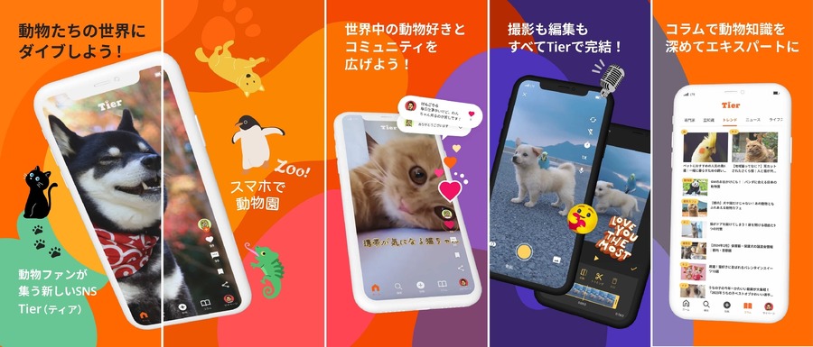 飼ってたら投稿！！「うちの子夏の思い出コンテスト」動物専門SNS『Tier』