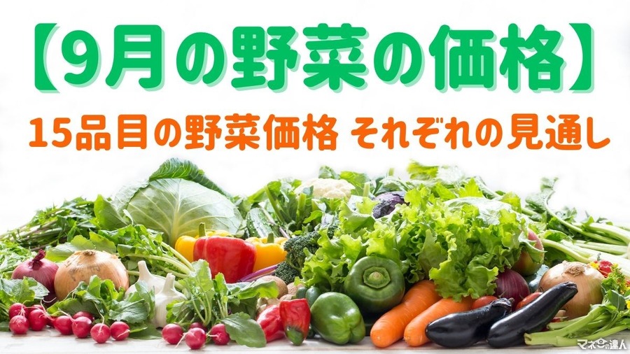 【9月の野菜の価格】野菜の高値は続く？ 農林水産省より、野菜の生育状況及び価格見通し発表