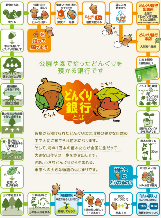 どんぐり拾いで金銭教育。通帳をつくり管理して払い戻しも出来る緑化活動「どんぐり銀行」をご存知ですか？