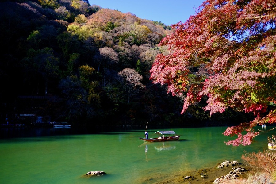秋の嵐山を満喫！紅葉観覧屋形船と和のアフタヌーンティー(11/21-12/7)