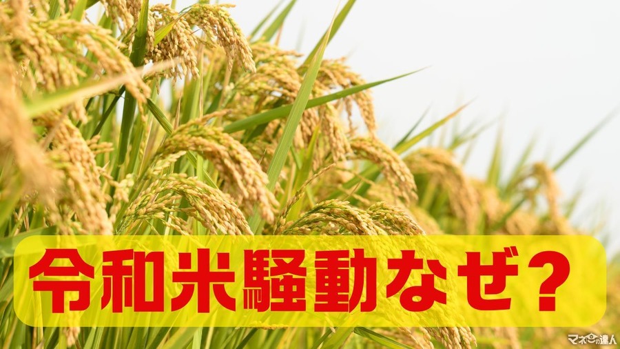 【令和6年産米の価格が高騰】その理由と今消費者ができる米の値上げ対策