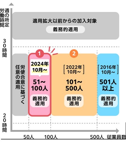2024年10月～【社会保険の適用拡大】4つの壁と、働き損になる年収と攻略法