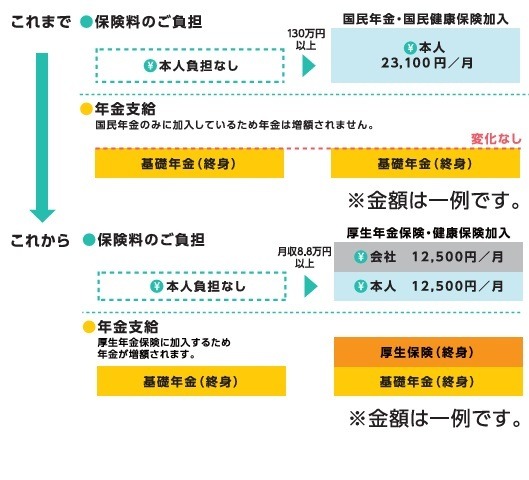 2024年10月～【社会保険の適用拡大】4つの壁と、働き損になる年収と攻略法