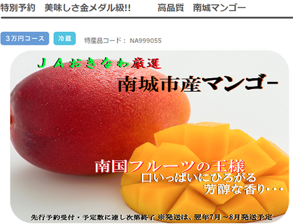 年始に狙いたい！売り切れ必至の超お得ふるさと納税品はコレ