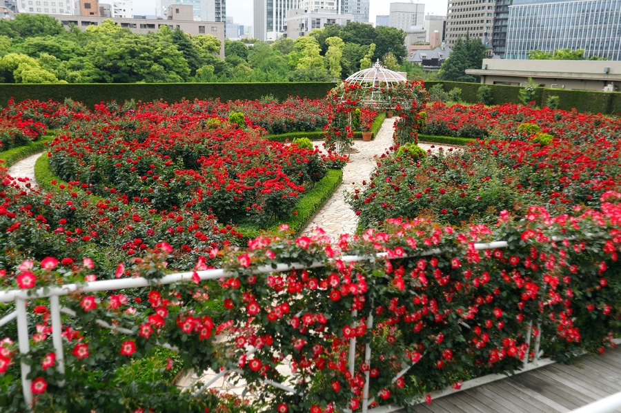 【ホテルニューオータニ(東京)】薔薇園で限定プランや特別イベント開催(9/21-10/20)