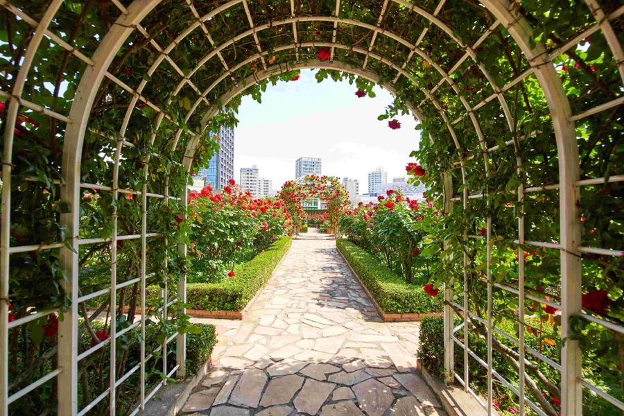 【ホテルニューオータニ(東京)】薔薇園で限定プランや特別イベント開催(9/21-10/20)