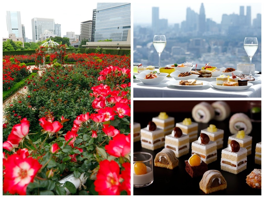 【ホテルニューオータニ(東京)】薔薇園で限定プランや特別イベント開催(9/21-10/20)