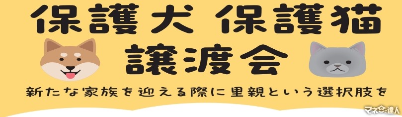 保護犬・保護猫譲渡会を開催　綿半ホームエイド都留店(9/22、10/27、11/24)