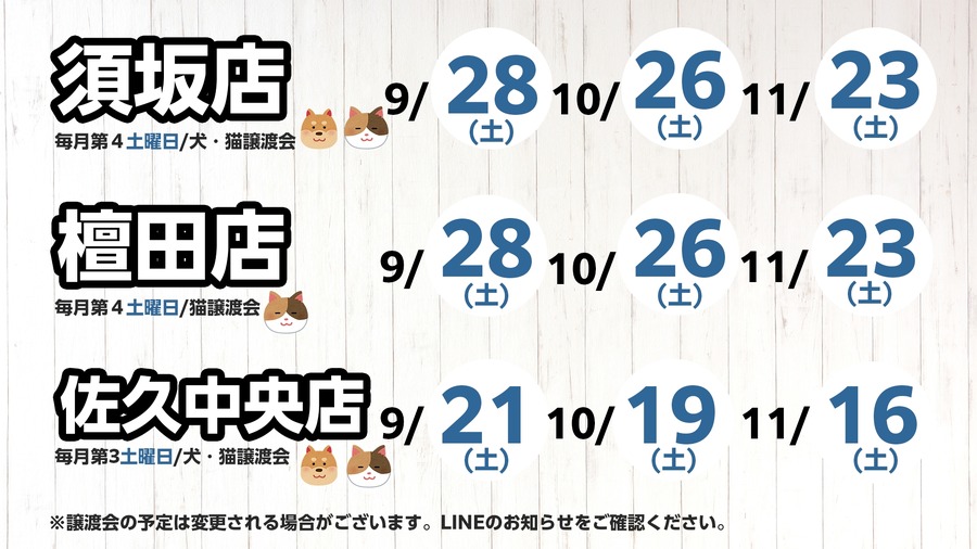 【保護犬・猫譲渡会を開催】中南信地域の綿半店舗にて実施