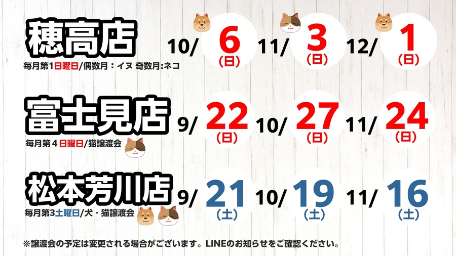 【保護犬・猫譲渡会を開催】中南信地域の綿半店舗にて実施