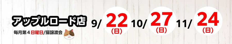 【保護犬・猫譲渡会を開催】中南信地域の綿半店舗にて実施
