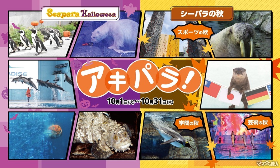 【八景島シーパラダイス】ハロウィンと秋をテーマにしたイベント「アキパラ！」を開催(10/1-31)