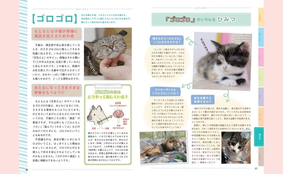 猫の気持ちがわかる！『猫語辞典』新装版発売