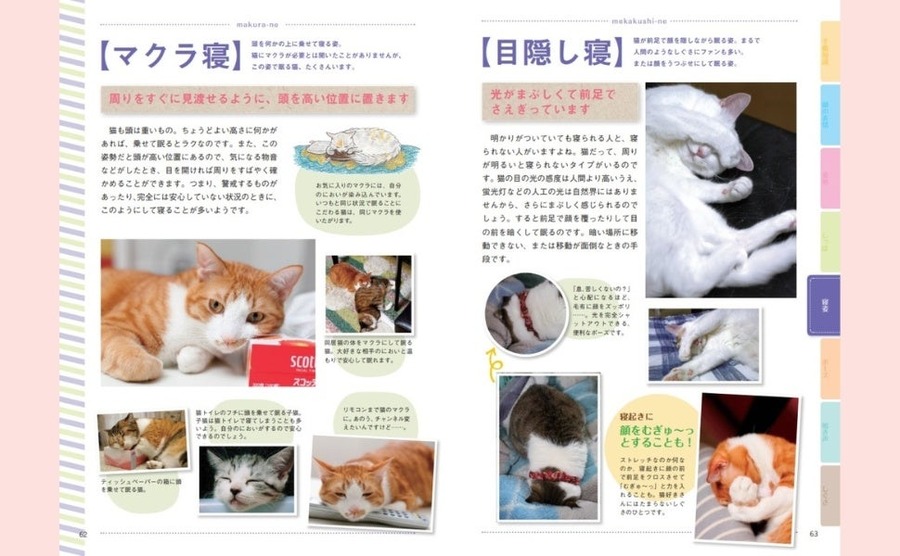 猫の気持ちがわかる！『猫語辞典』新装版発売