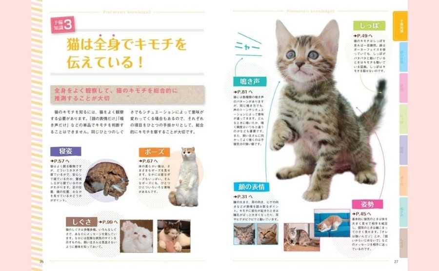 猫の気持ちがわかる！『猫語辞典』新装版発売