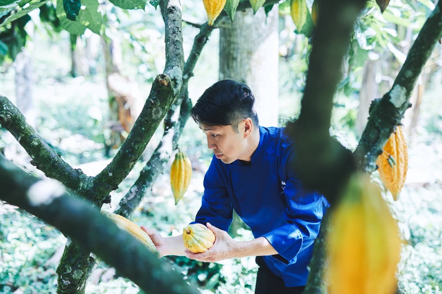 鎌倉発「メゾンカカオ」新作生ガトーショコラを500本限定で10/1より発売